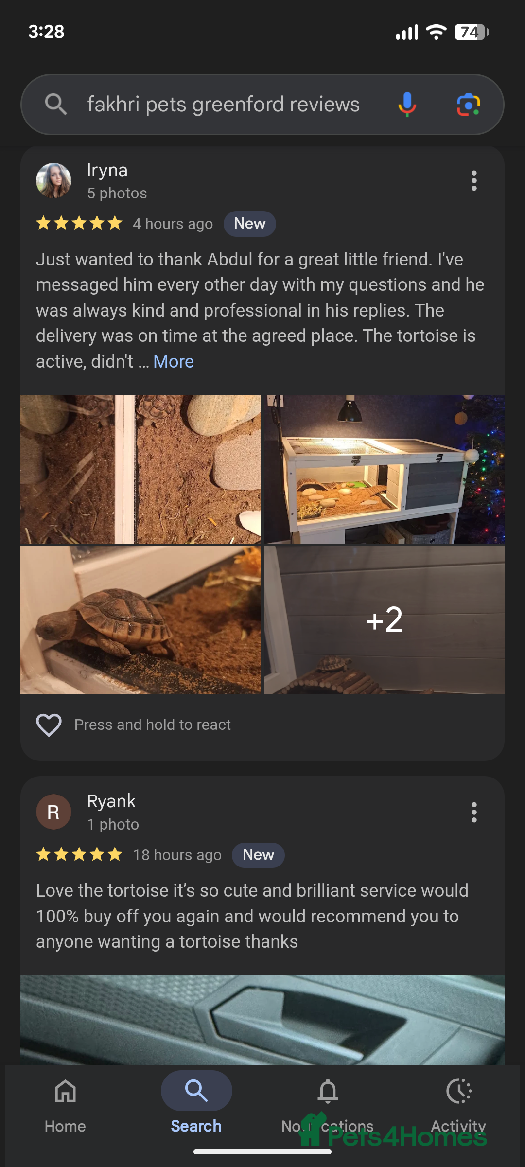 Tortoise reptiles Spur Thigh Tortoise trusted by many happy customer - Advert 6