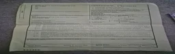 Hermann Tortoise reptiles for sale: Hermanns Tortoise  - Advert 4