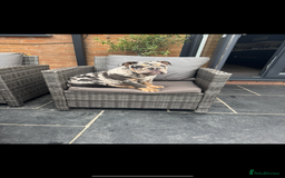 English Bulldog dogs for sale: Grey Merle male english bulldog puppy - Image 24