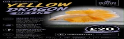 Bettas fish for sale: Betta sale!!  - Advert 15