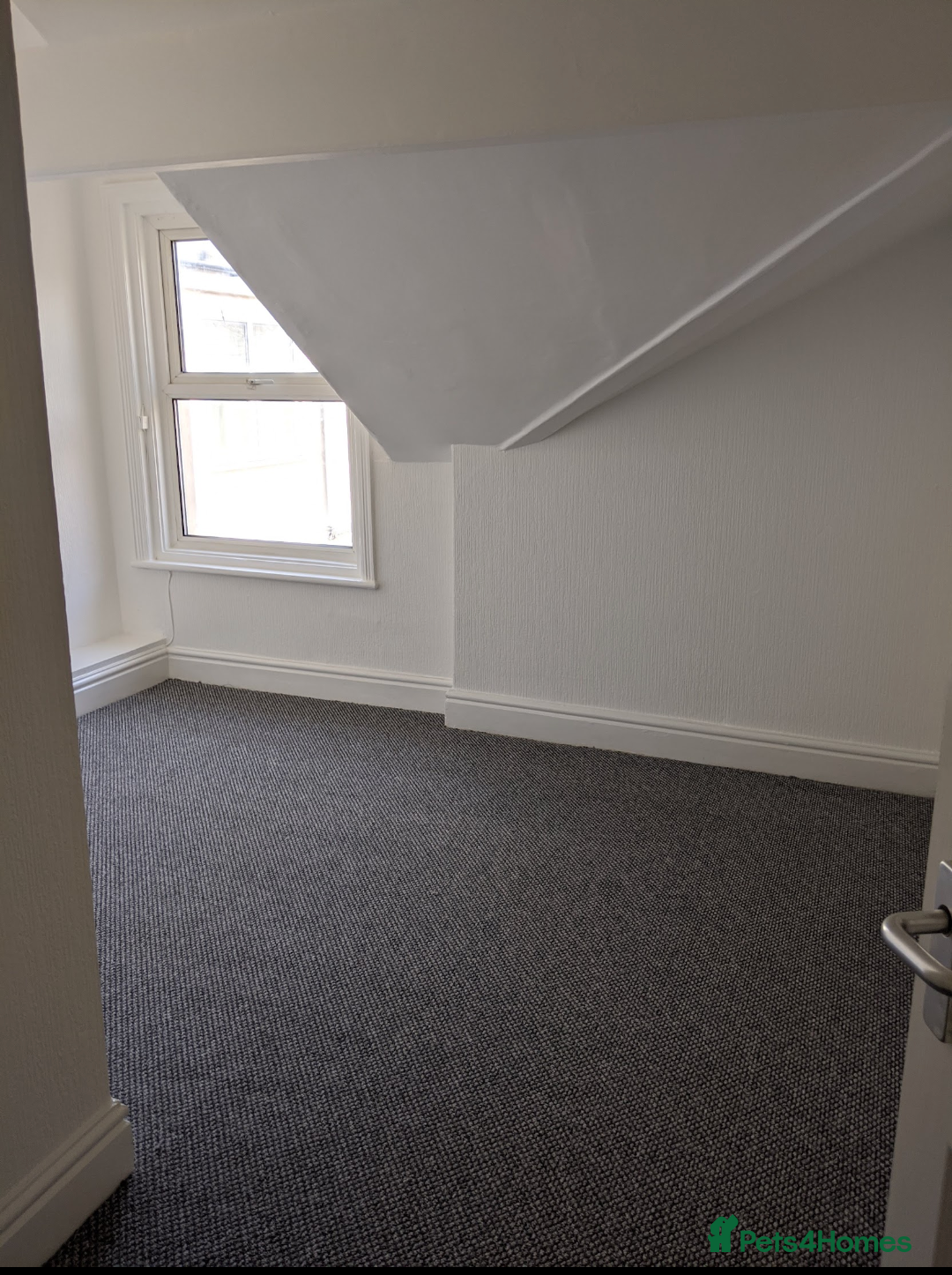 Python Snake reptiles for sale: fgfdbfdbdfb - Advert 1