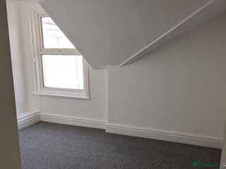 Python Snake reptiles fgfdbfdbdfb - Advert 1