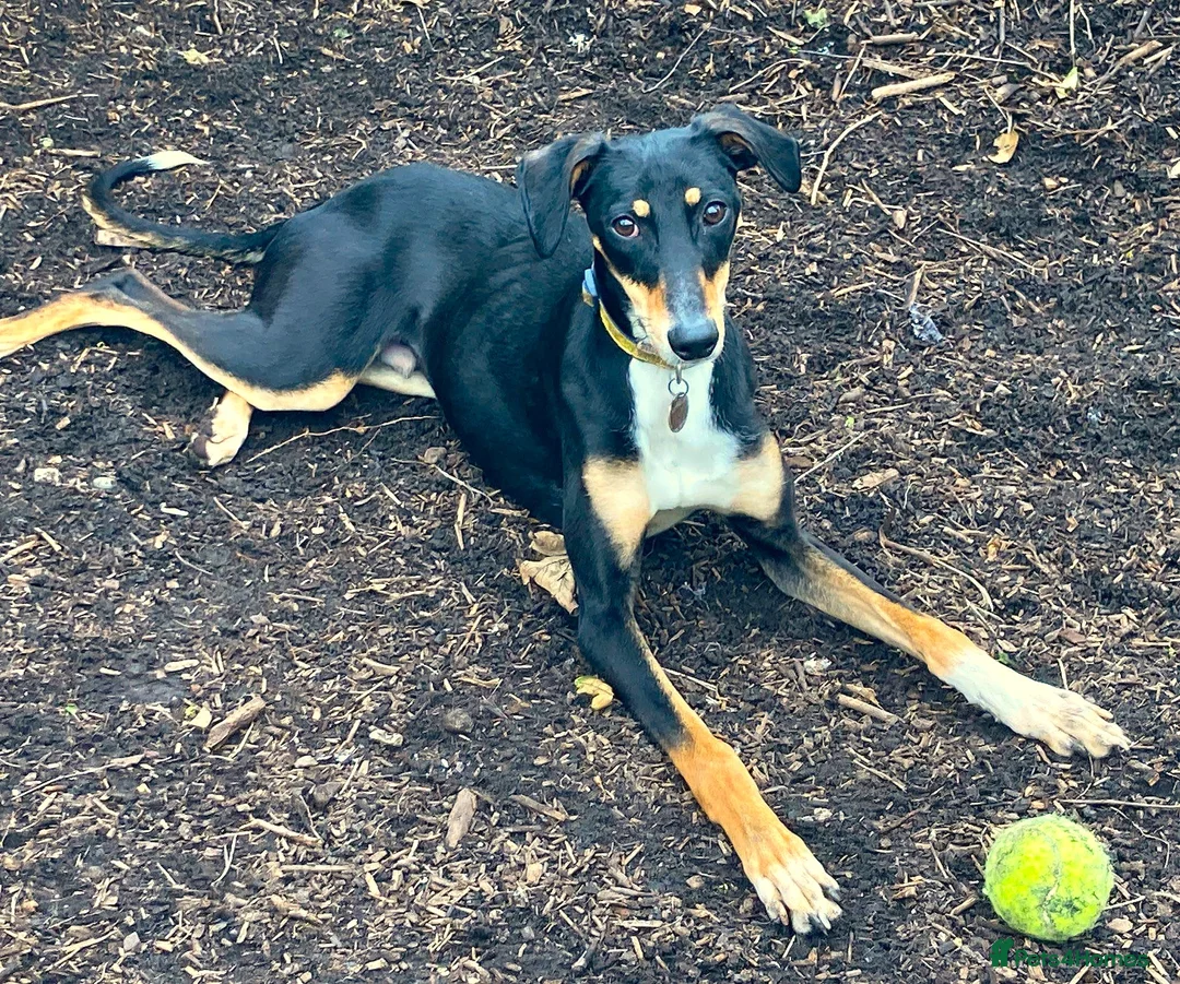 Gallery Image {{count}}