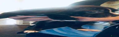 Bullet