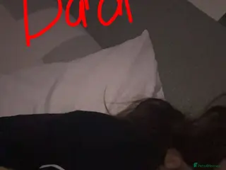 Hamster rodents Syrian hamster - Advert 1