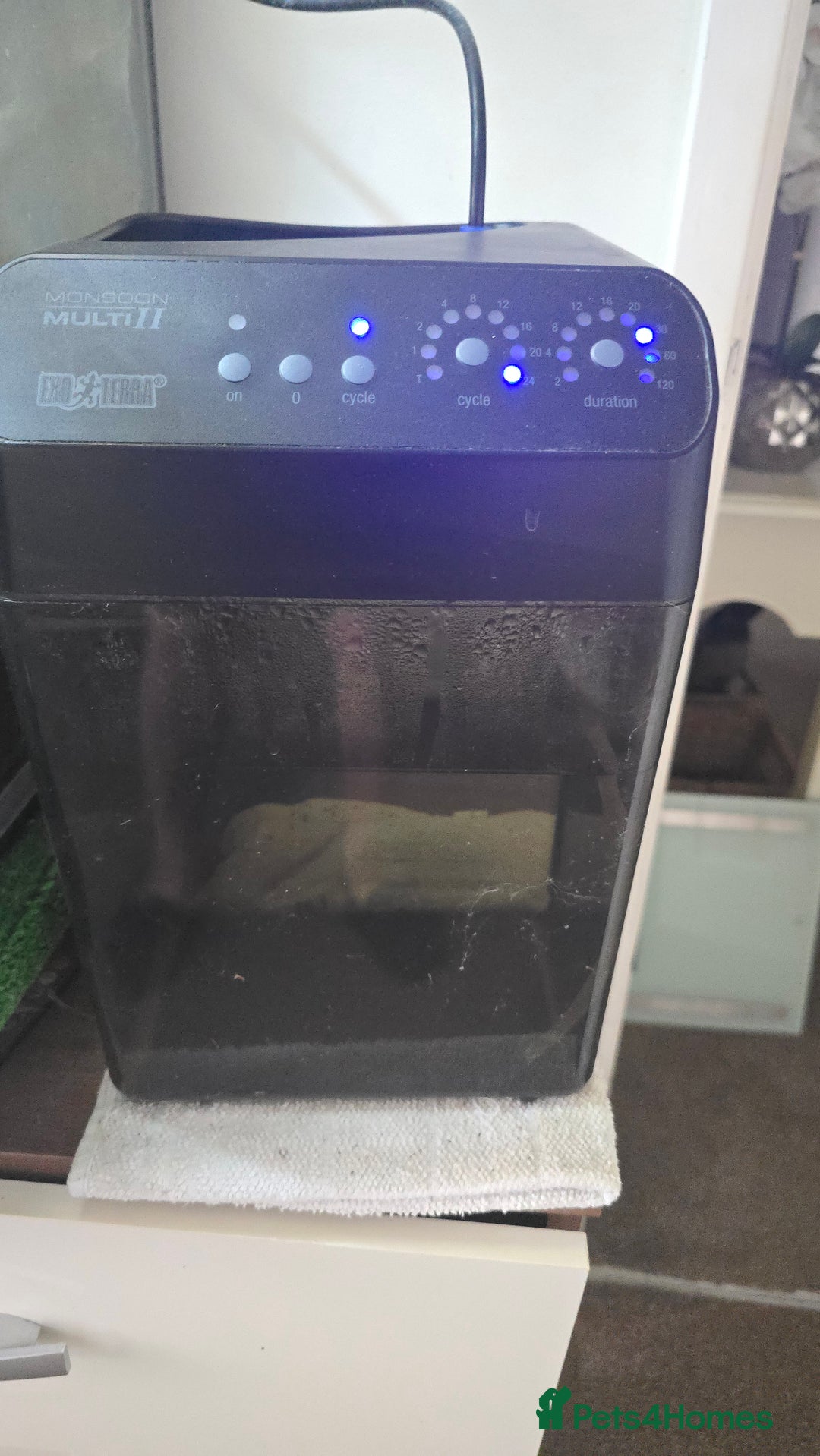 Gecko reptiles for sale: Viv job lot - Advert 3