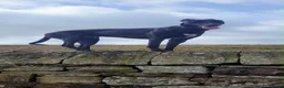 Lurcher dogs for sale: Beautiful Lurchers puppies  - Advert 10