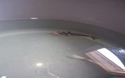 Koi Carp fish for sale: Koi for sale - Image 11