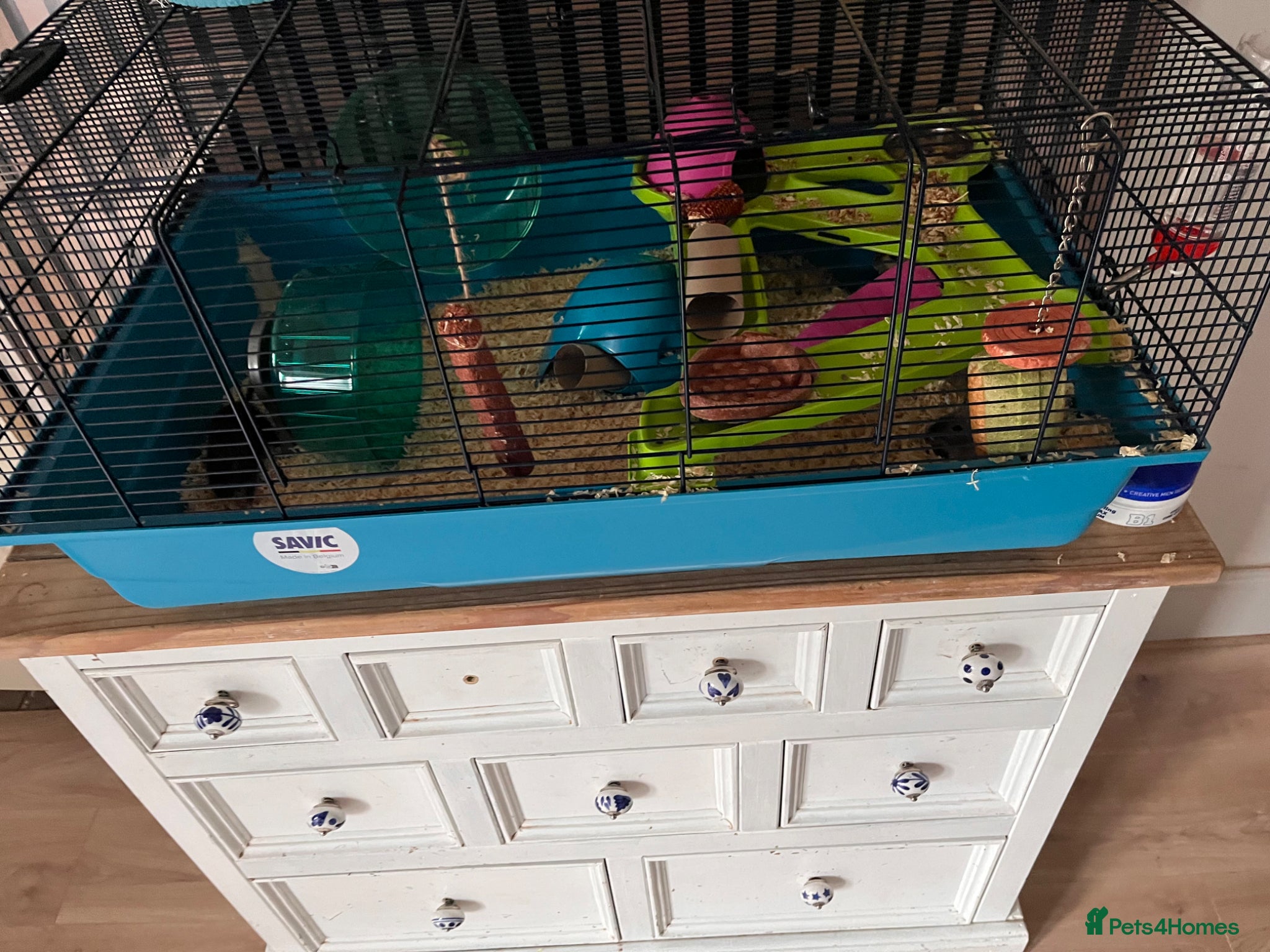 Gerbil rodents 3 male gerbils and enclosure  - Advert 1
