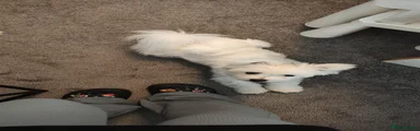 Milo