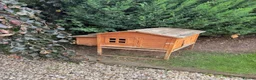 Chickens poultry for sale: 🐔 COMPLETE CHICKEN FLOCK & SETUP FOR SALE 🐔 - Advert 3