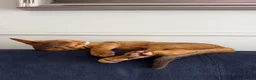 Abyssinian cats for sale: Last Girl 🎀 Ready to Go! - Advert 2