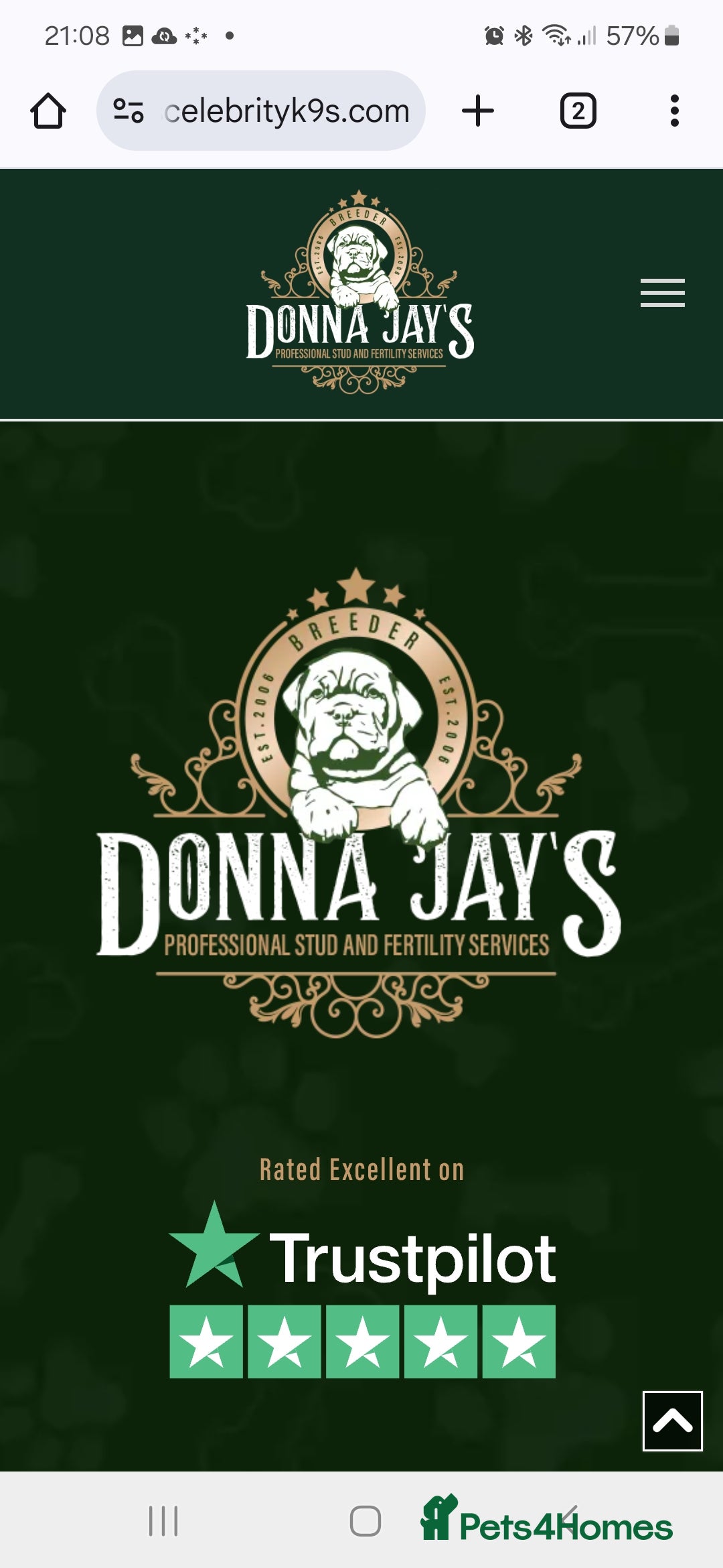 Cavapoo dogs for sale: F1bb extensively health tested caverpoo pups  - Advert 7