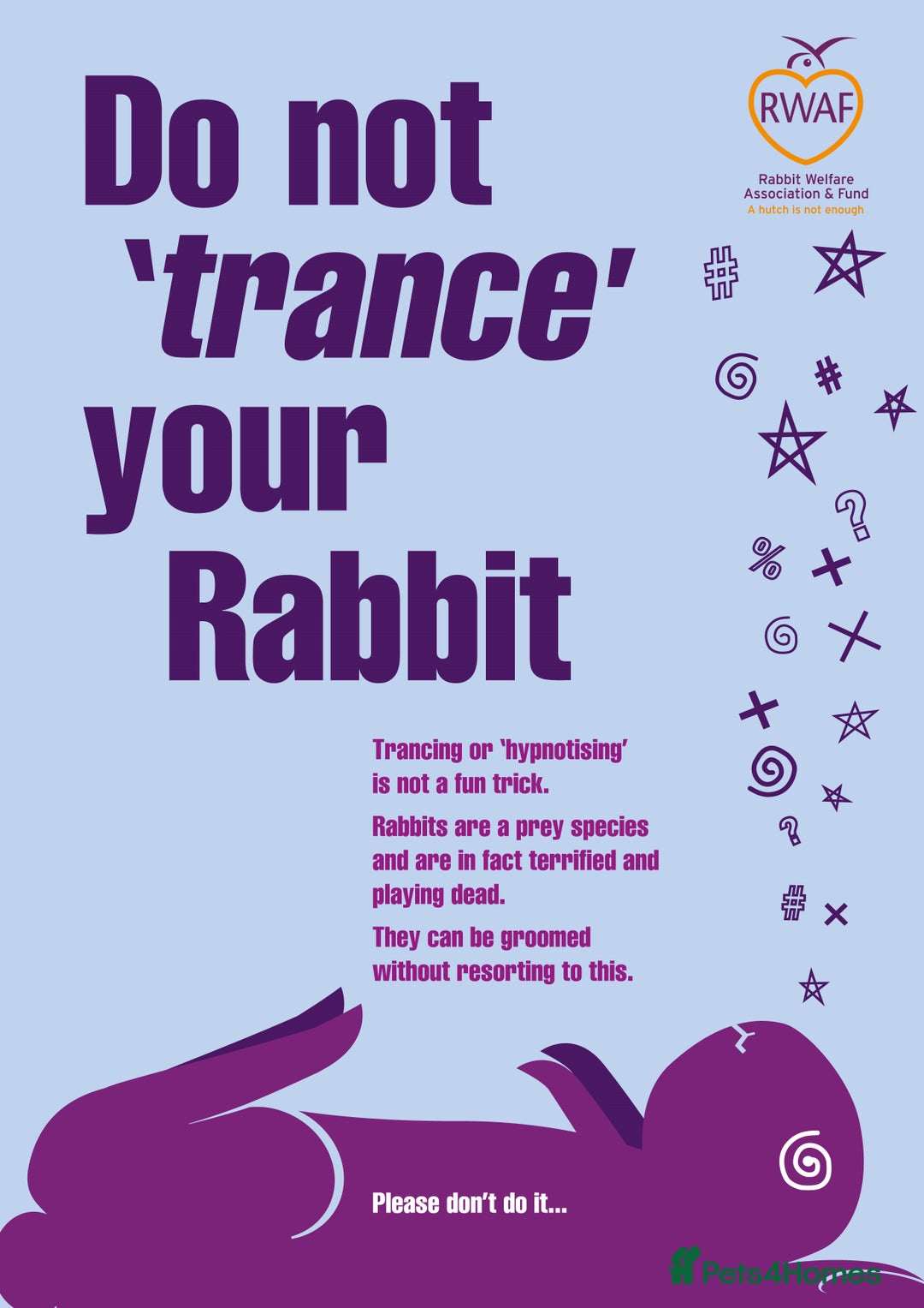 French Lop rabbits for sale: PURE Giant French Lops - Vaccinated - RESERVE - Image 23