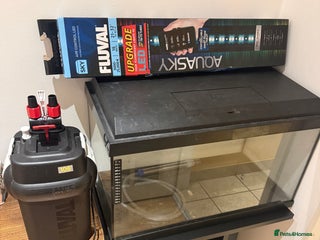 Turtle reptiles Juwel 60L Aquarium Full Setup+Cabinet(Fluval 106) - Advert 12