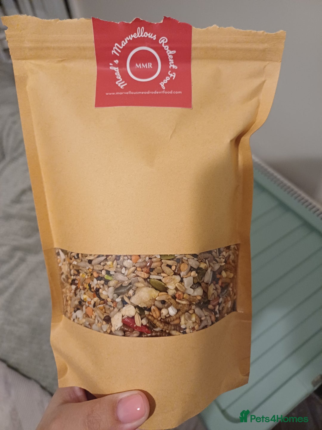 Mouse rodents for sale: Two Lovely Male Mice Looking for a New Home - Advert 2