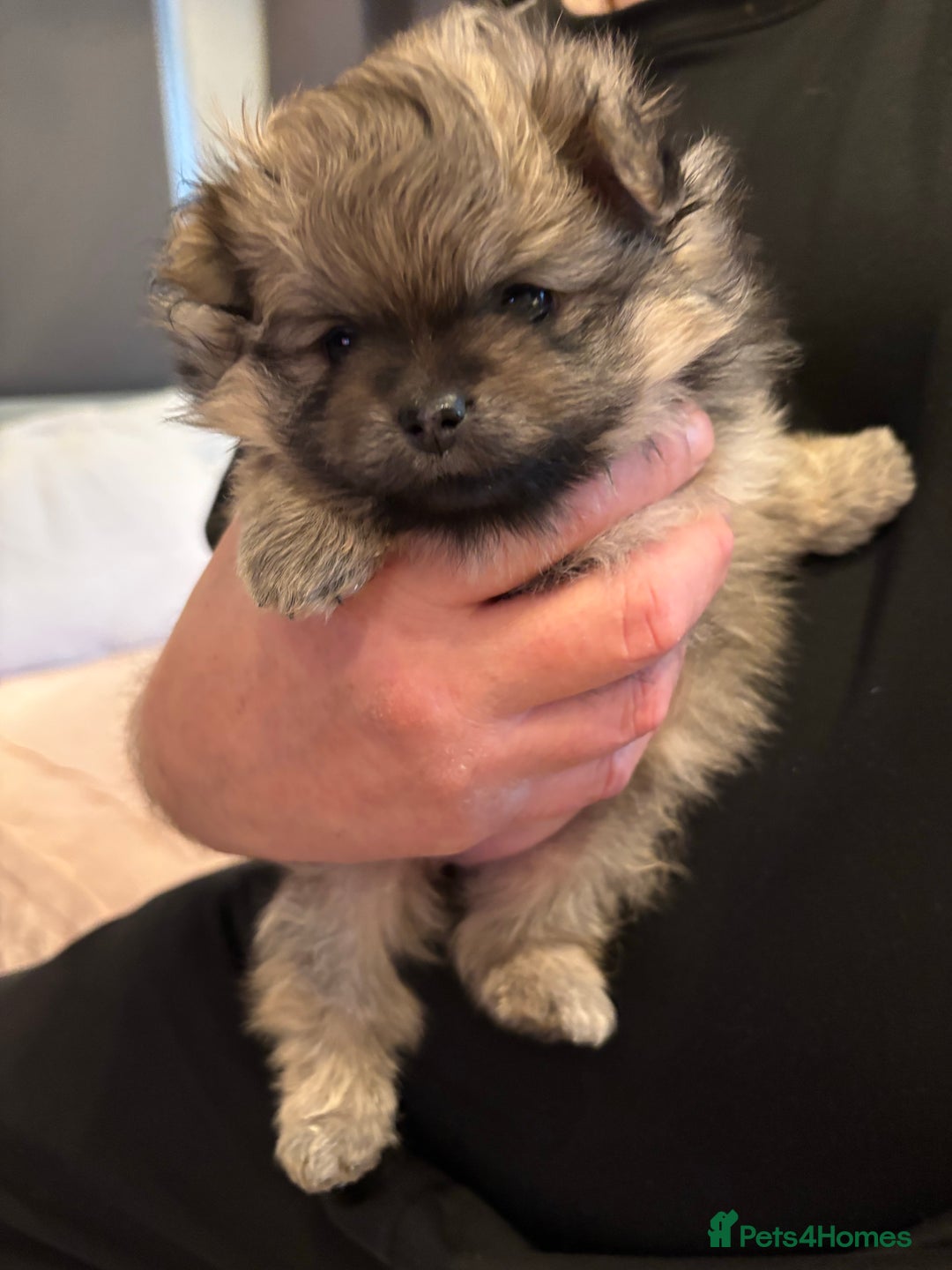 Gallery Image {{count}}