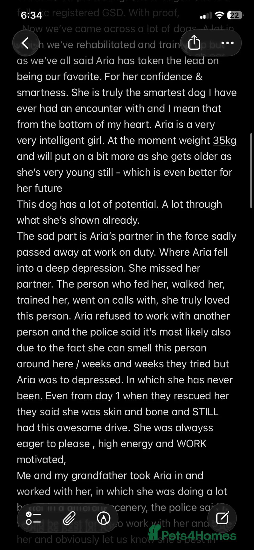 German Shepherd dogs for sale: HIGHprotection - performance ex police GSD  - Advert 4