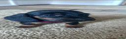 Dachshund dogs for sale: 2 Beautiful Dachshund Puppies Left - Advert 2