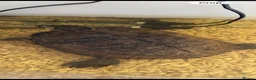 Terrapin reptiles for sale: Terrapin  in Glasgow - Advert 2