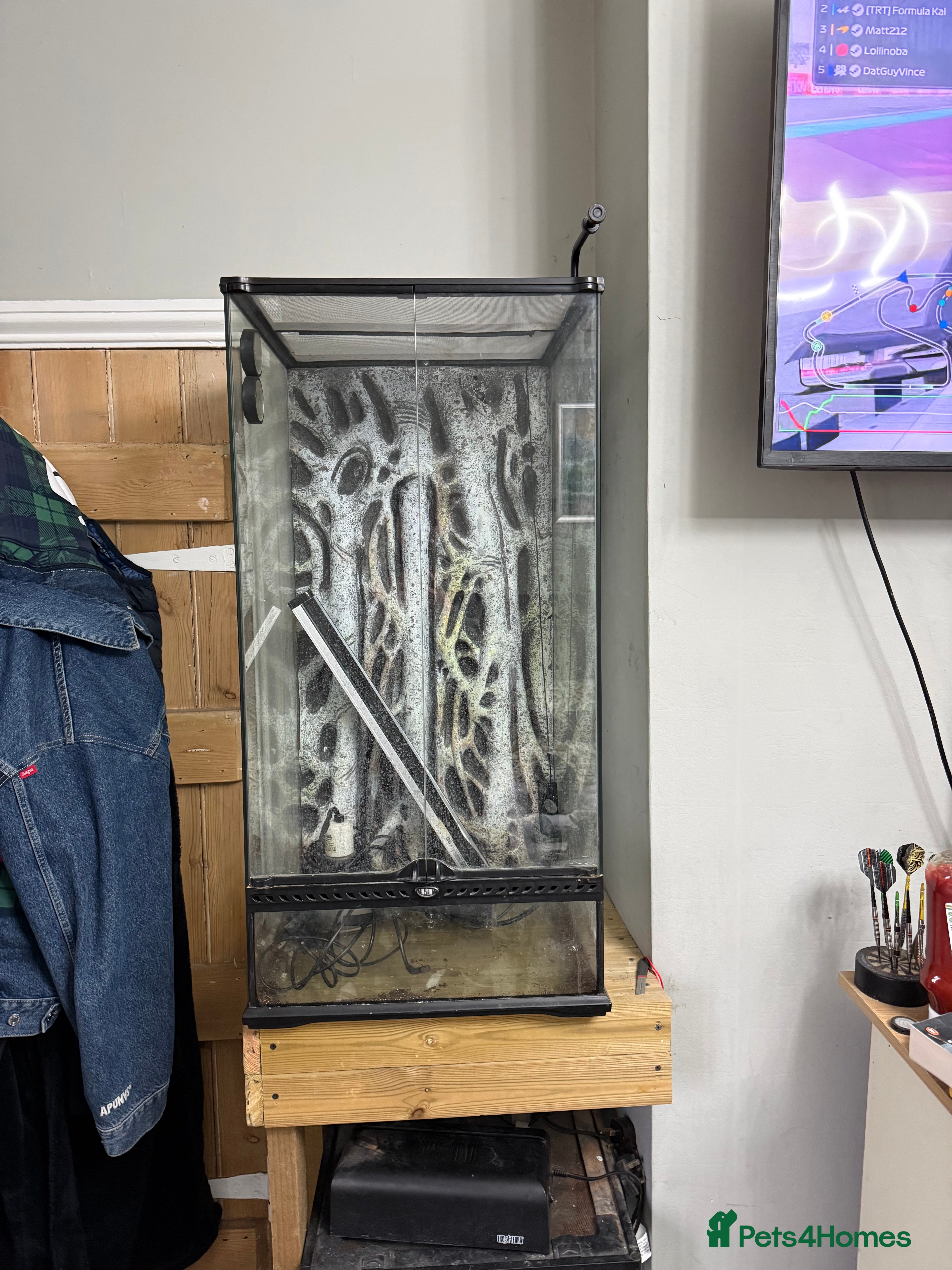 Mixed Breed reptiles VIVARIUM FOR SALE - Advert 4