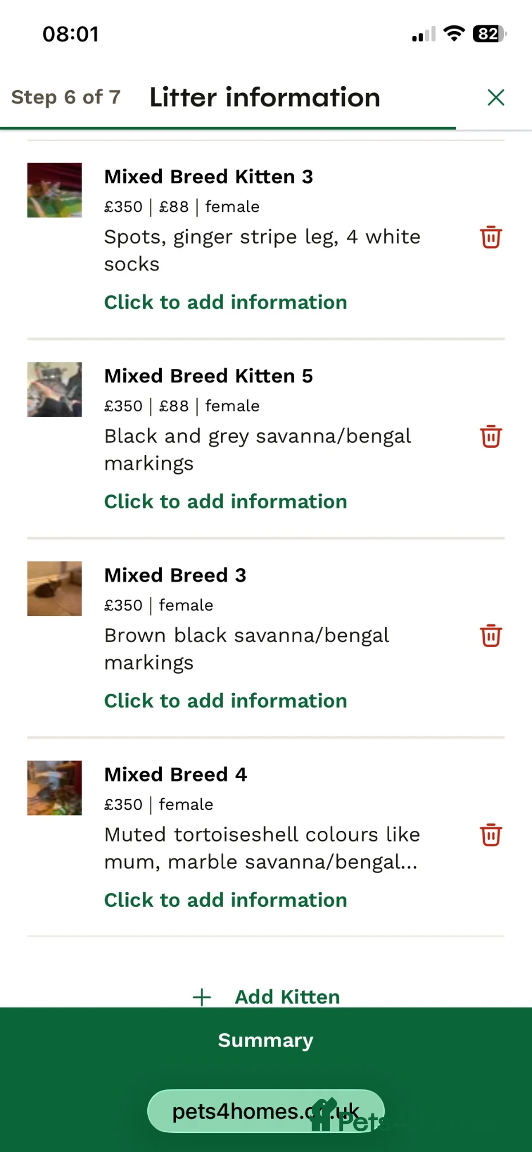 Mixed Breed cats for sale: F5 Savanna x Oriental Kittens - Advert 2