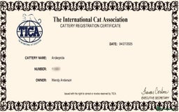 Maine Coon cats for sale: ANDERPRIDE HAVE KITTENS- INTEREST  OPEN  - Image 26