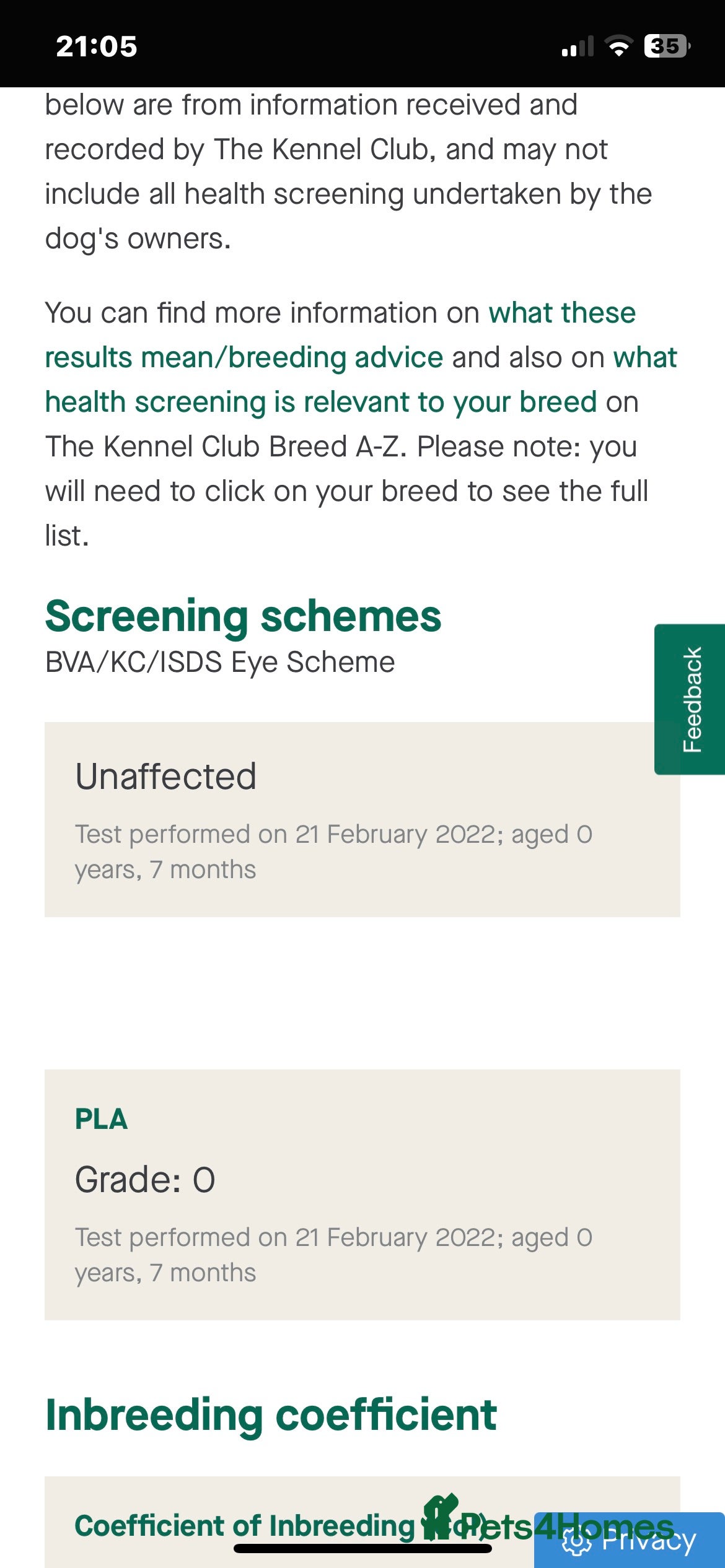 Cocker Spaniel dogs for stud: 🌟🌟Health Tested Black Cocker Stud🌟🌟 in Malmesbury - Advert 4