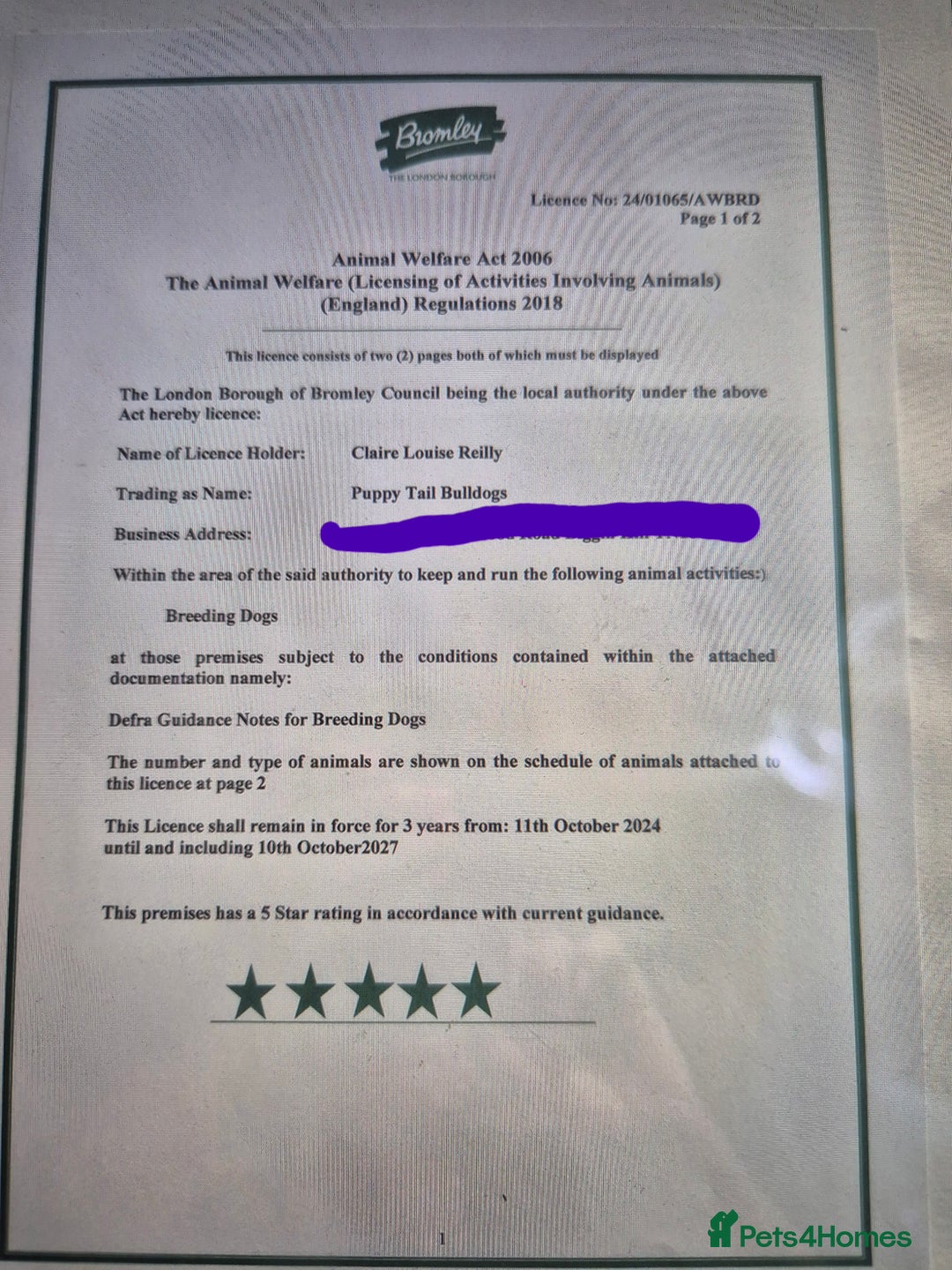 French Bulldog dogs for sale: 5* Council Licensed Breeder of 3 Stunning pups. - Advert 4