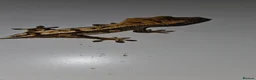 Gecko reptiles for sale: Male frogbutt gecko - Advert 1