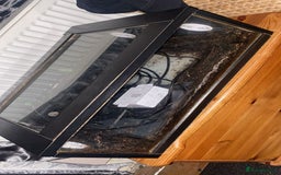 Leopard Gecko reptiles for sale: leopard gecko - Image 14