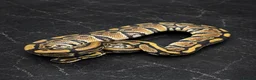 Python Snake reptiles for sale: Ball Pythons, including a couple hatchlings  - Advert 5
