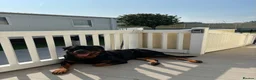 Rottweiler dogs for sale: Bear- Male- 6 years old - Advert 2