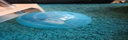 Rat rodents for sale: 2 lovely female rats with cage and accessories  - Advert 3