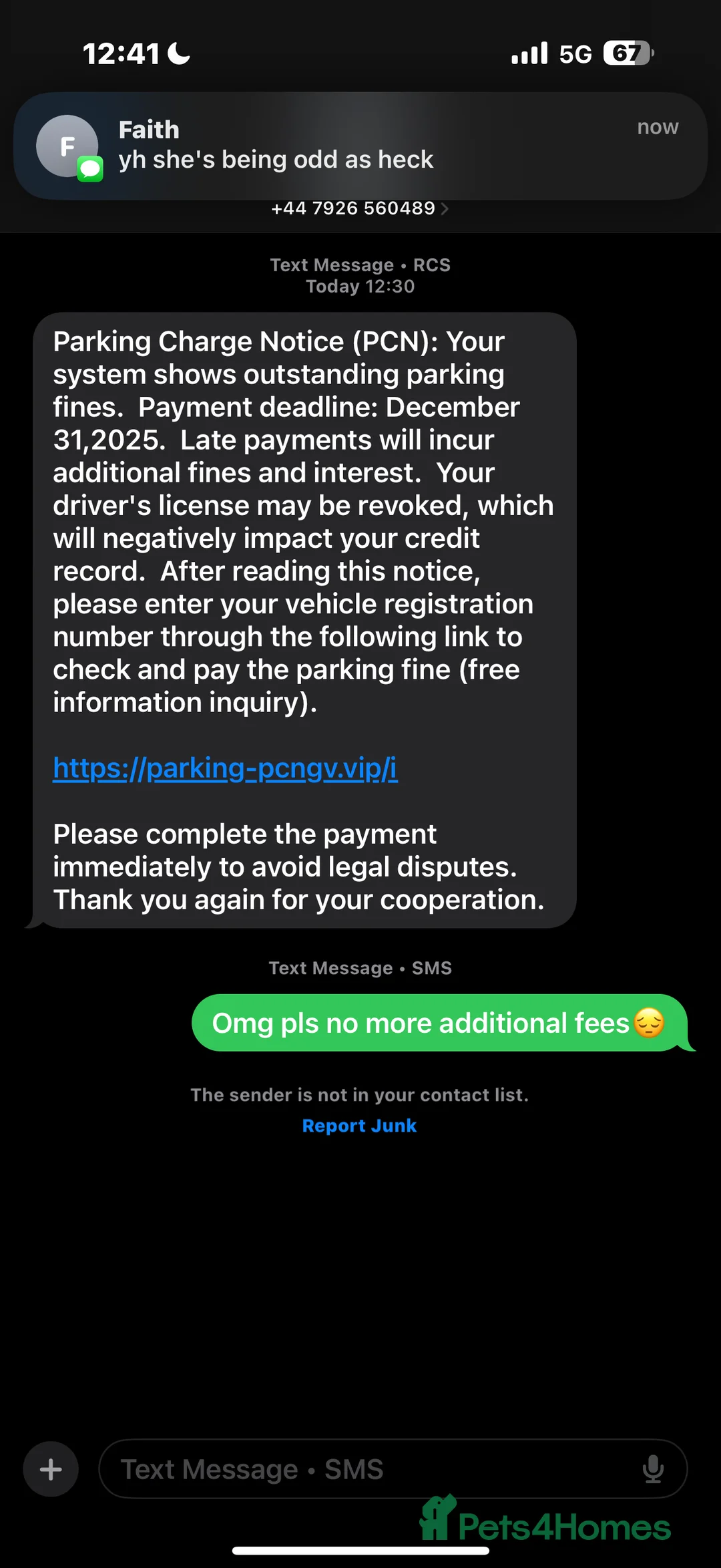 Mixed Breed cats for sale: 3 mixed tabby kittens for sale!  - Advert 12