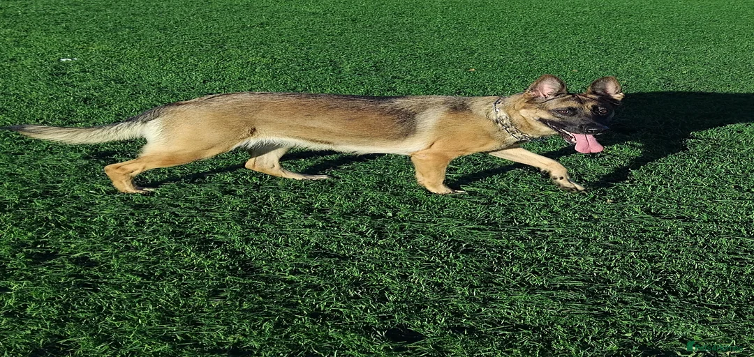 Gallery Image {{count}}