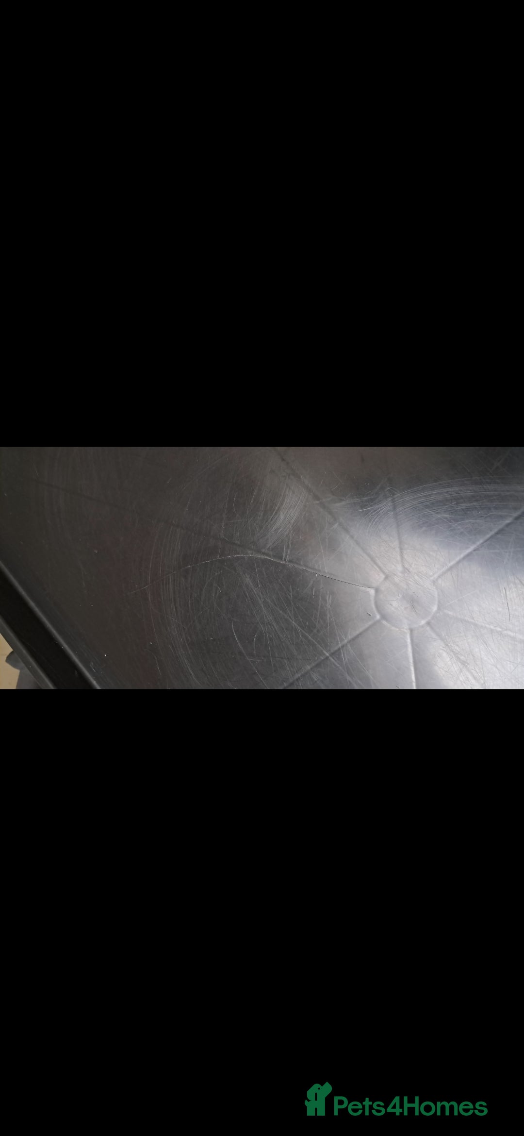 Mixed Breed birds for sale: Large bird cage - Advert 3