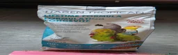 Conures birds for sale: Green-Cheek Conure With Cage and Accessory's - Advert 16