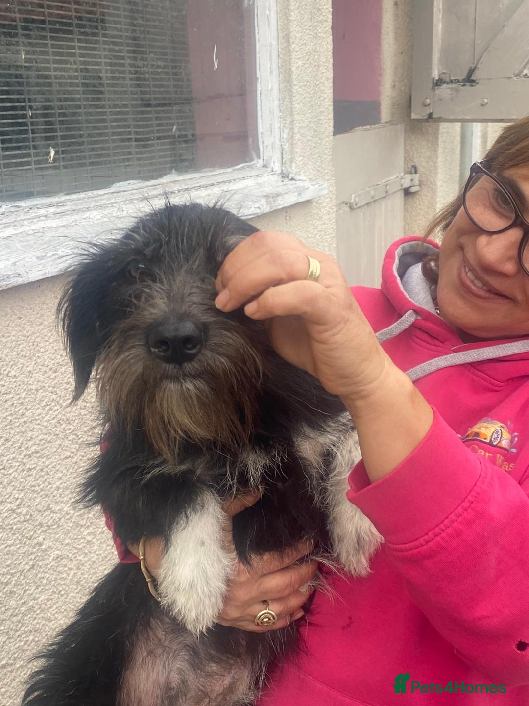 Mixed Breed dogs for adoption: Meet MARIA (!) - a Beautiful and Affectionate Girl - Image 9