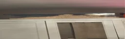 Hamster rodents for sale: Male hamster  - Advert 4