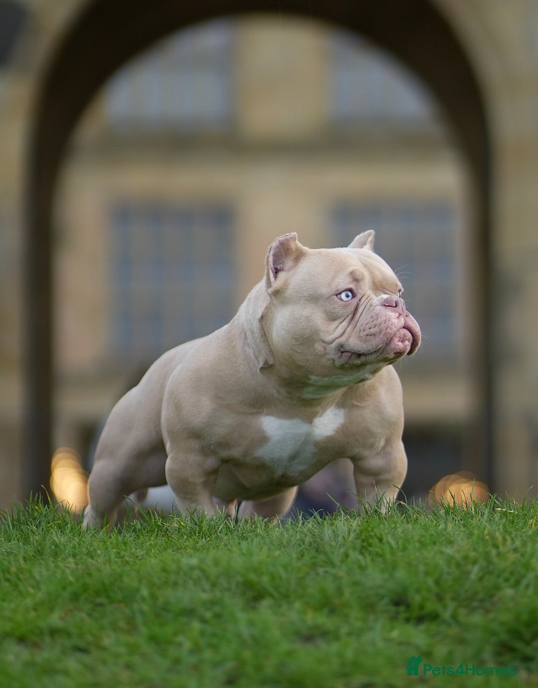 Gallery Image {{count}}