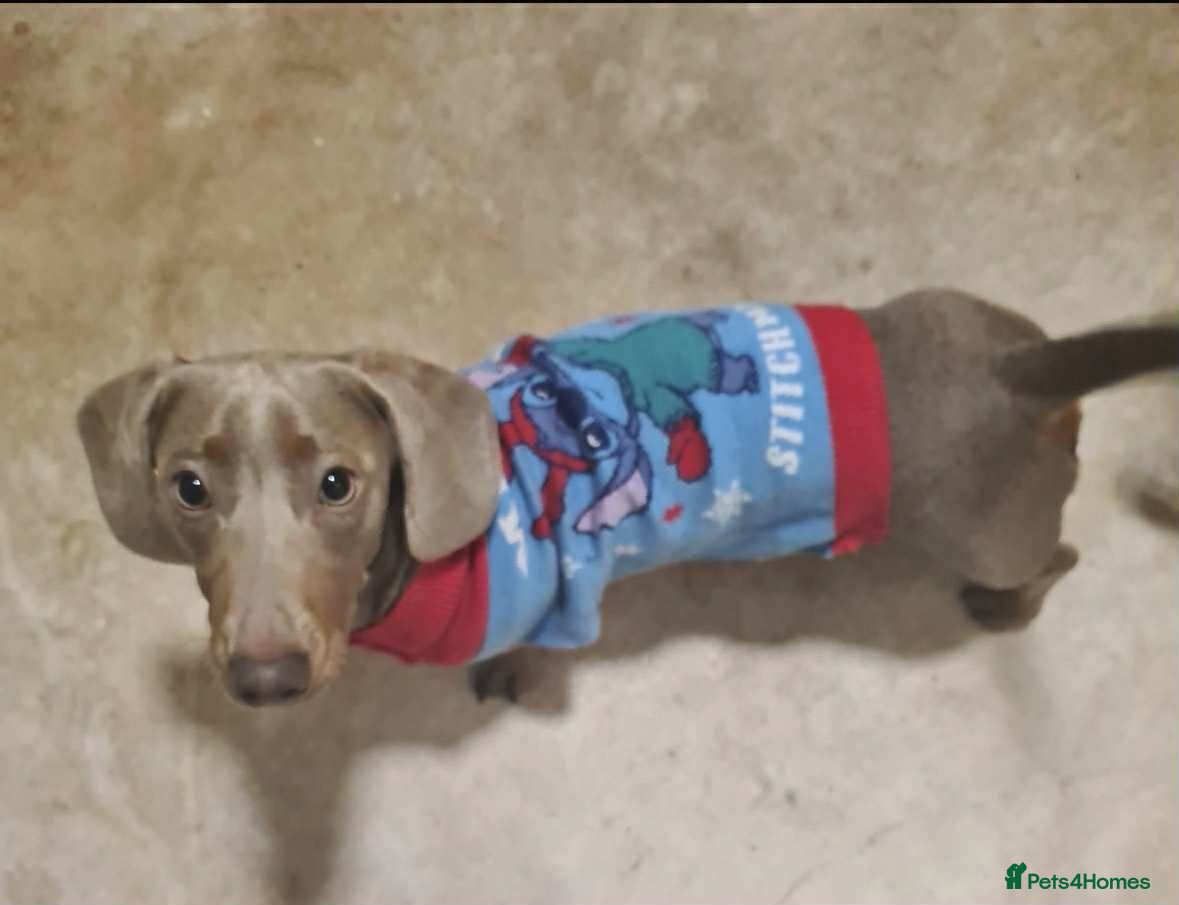 Oscar