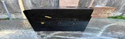 Budgerigars birds for sale: Budgie Show Cages  in Worksop - Advert 5