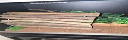 Python Snake reptiles for sale: 5x royal pythons and set ups in Birmingham - Advert 12