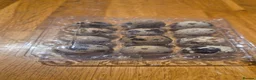 Quail poultry for sale: Coturnix quail male and female available  - Advert 6