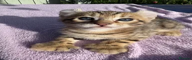 Keetso 1