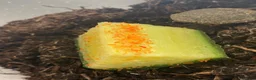 Mixed Breed invertebrates for sale: Fancy springtails , millipedes , beetles , mantis  - Advert 1