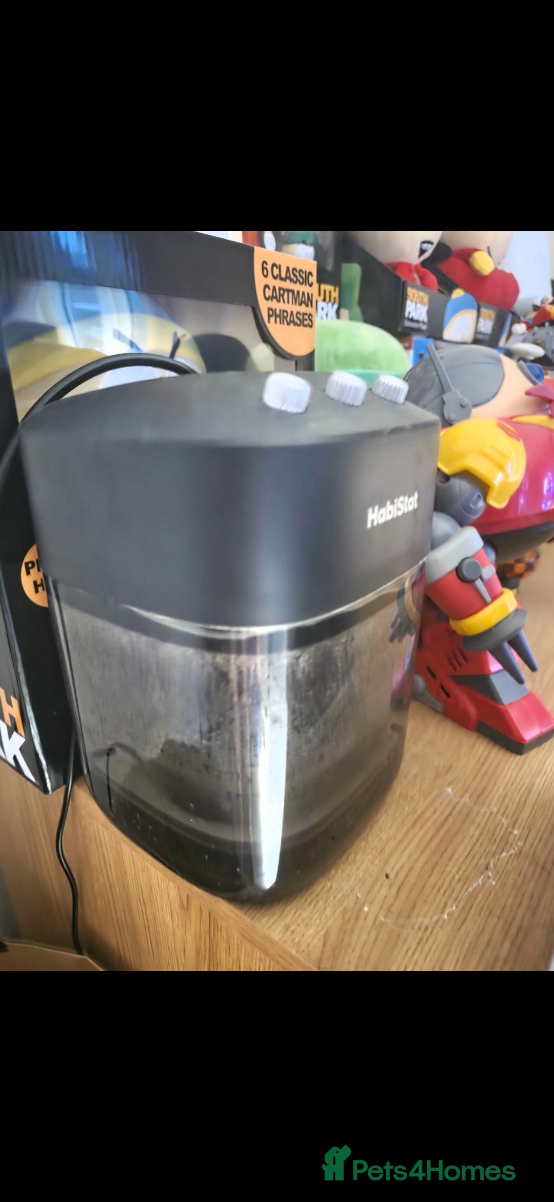 Lizard reptiles for sale: Male and female frilled dragon and tank  - Advert 5