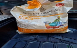 Macaws birds for sale: Blue & Gold Macaw For Sale - Image 12