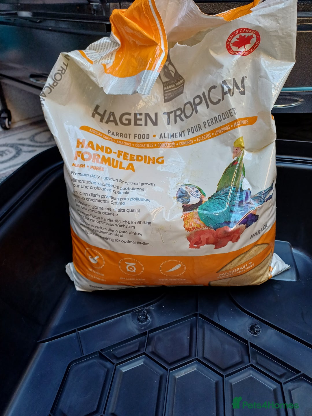 Macaws birds for sale: Blue & Gold Macaw For Sale - Image 12